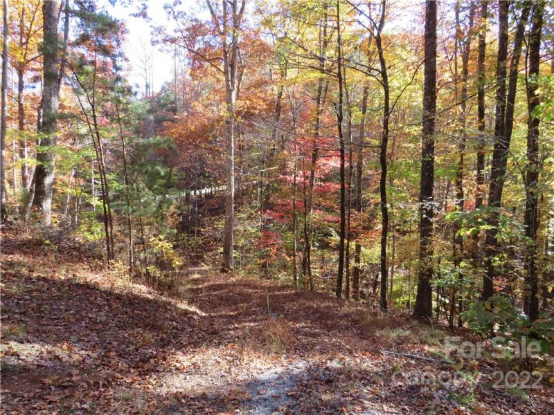 Property image 5 at 0 Mountain Forest Drive, Union Mills, NC 28167