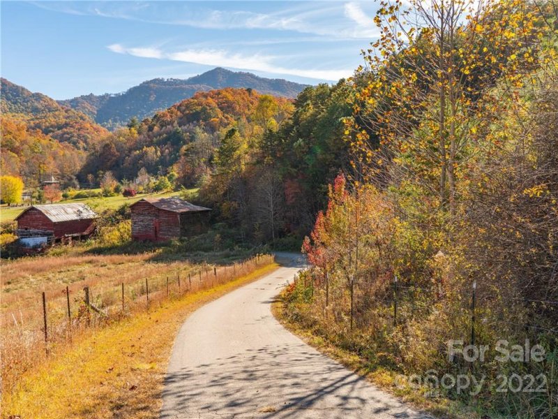 Property image 4 at 99999 Margaret Drive, Leicester, NC 28748