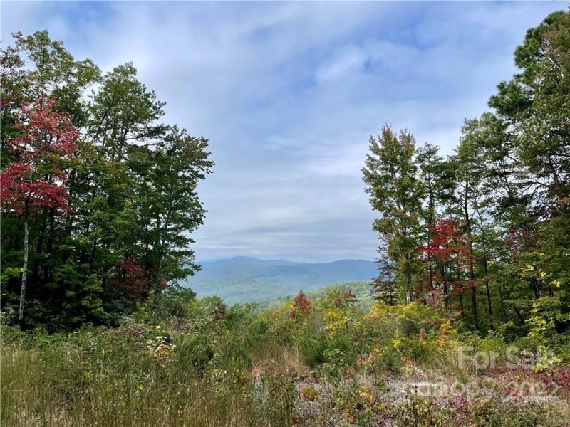 Property image 2 at 999 E Bear Pen Hollow Road, Brevard, NC 28712