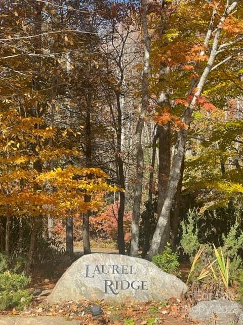 Property image 2 at 21 Wood Haven Lane, Black Mountain, NC 28711