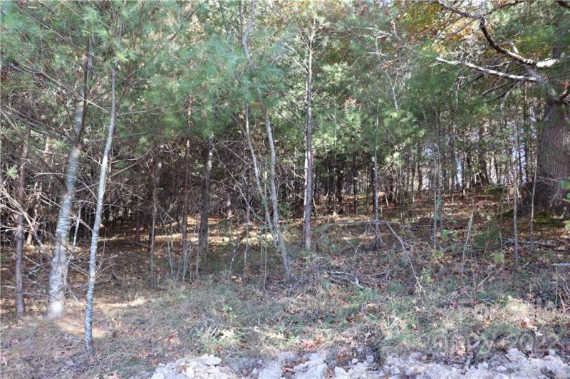 Property image 3 at 585 Morlin Acres Drive, Marshall, NC 28753