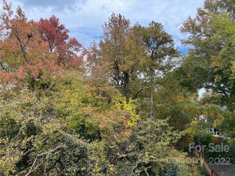 Property image 5 at 2230 Electric Lane, Charlotte, NC 28205