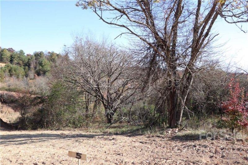 Property image 5 at 585 Morlin Acres Drive, Marshall, NC 28753