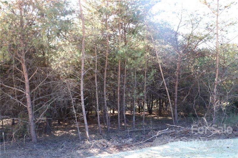 585 Morlin Acres Drive