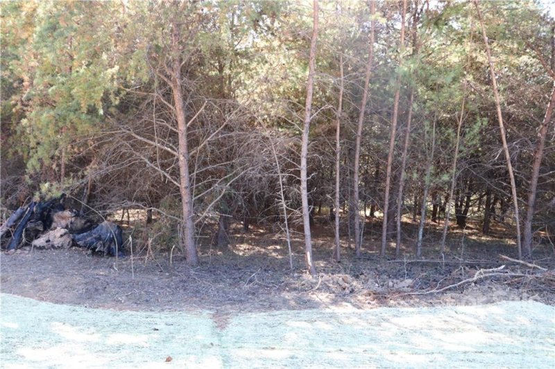 Property image 2 at 585 Morlin Acres Drive, Marshall, NC 28753