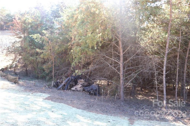 Property image 3 at 585 Morlin Acres Drive, Marshall, NC 28753