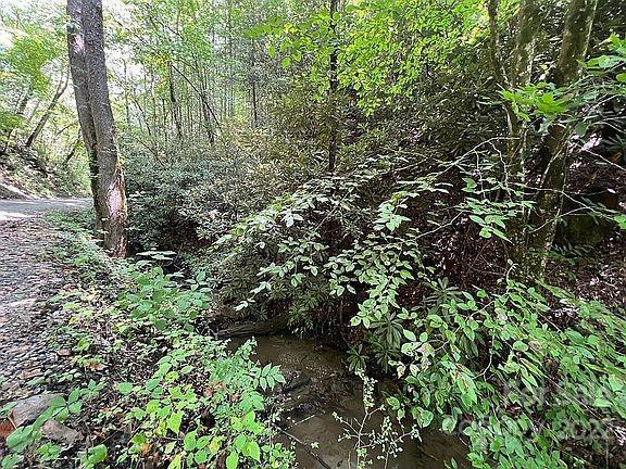 Property image 2 at 0 Overlook Ridge Road, Bryson City, NC 28713