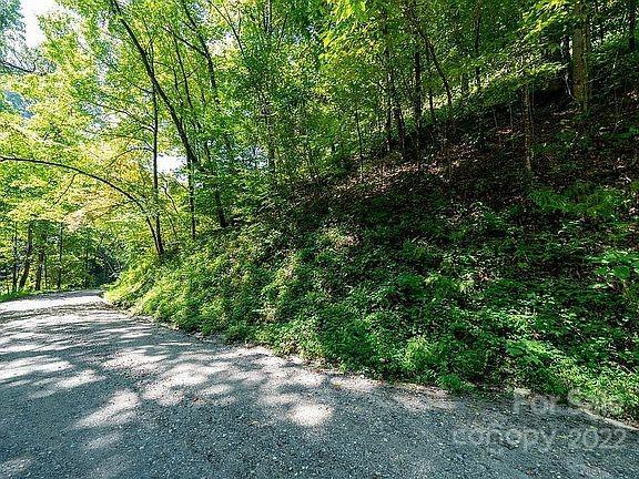 Property image 3 at 0 Overlook Ridge Road, Bryson City, NC 28713