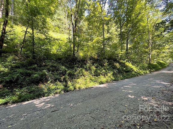 Property image 4 at 0 Overlook Ridge Road, Bryson City, NC 28713