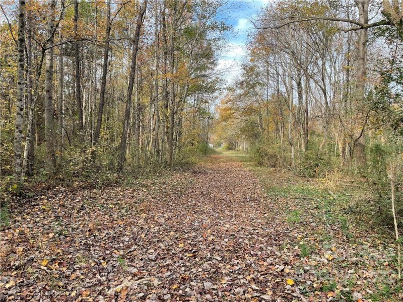 Property image 5 at 115 Sir Lancelot Lane, Kings Mountain, NC 28086