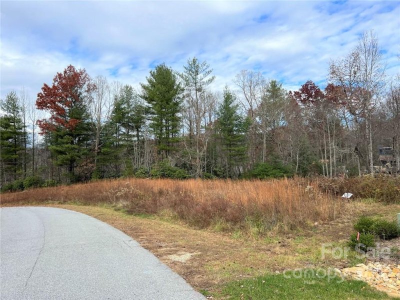 Property image 2 at 0000 Crystal Heights Drive, Hendersonville, NC 28739