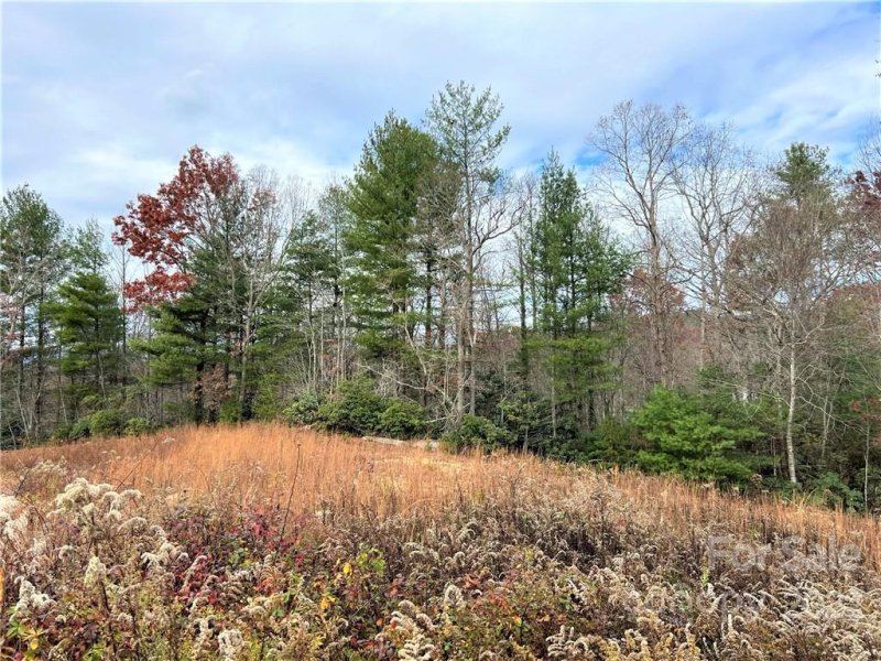 Property image 3 at 0000 Crystal Heights Drive, Hendersonville, NC 28739