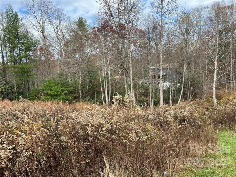 Property image 4 at 0000 Crystal Heights Drive, Hendersonville, NC 28739