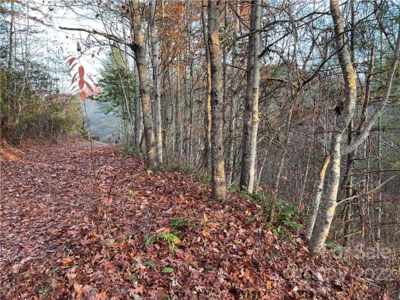 Property image 2 of Lot 43 Kimiko Lane in Balsam Grove Estates, Balsam Grove, NC 28708