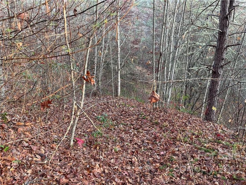 Property image 3 of Lot 43 Kimiko Lane in Balsam Grove Estates, Balsam Grove, NC 28708