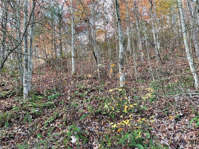 Property image 4 of Lot 43 Kimiko Lane in Balsam Grove Estates, Balsam Grove, NC 28708