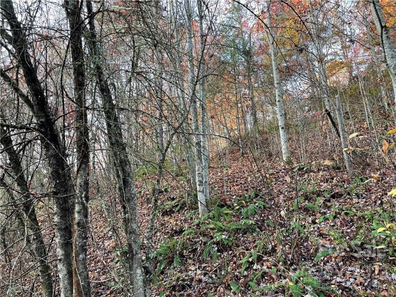 Property image 5 of Lot 43 Kimiko Lane in Balsam Grove Estates, Balsam Grove, NC 28708