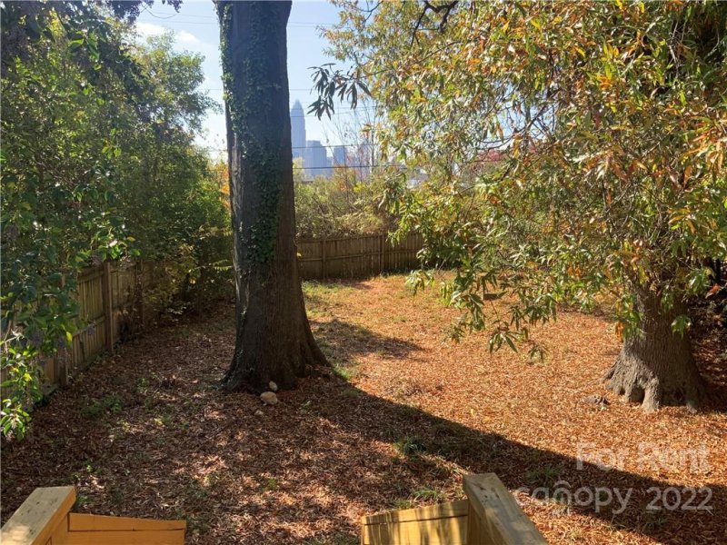 Property image 4 at 405 Plymouth Avenue, Charlotte, NC 28206