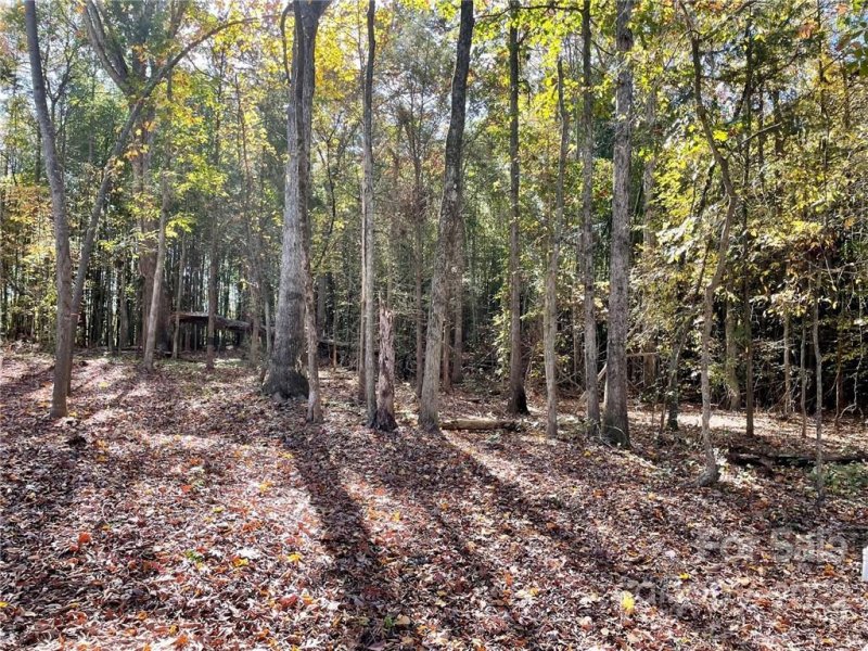 Property image 4 at 1675 Old Tara Lane, Fort Mill, SC 29708