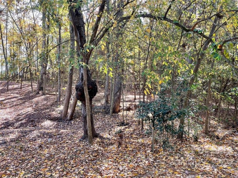 Property image 5 at 1675 Old Tara Lane, Fort Mill, SC 29708