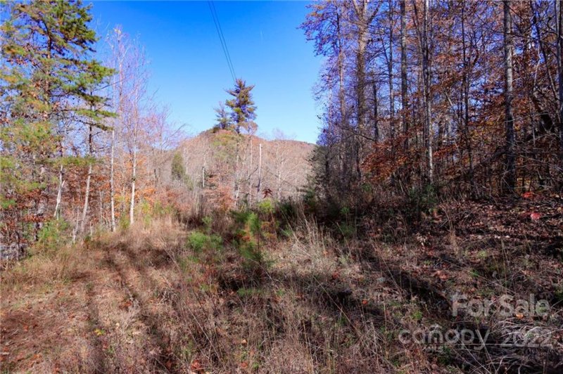 Lot 74 Buffalo Creek Road