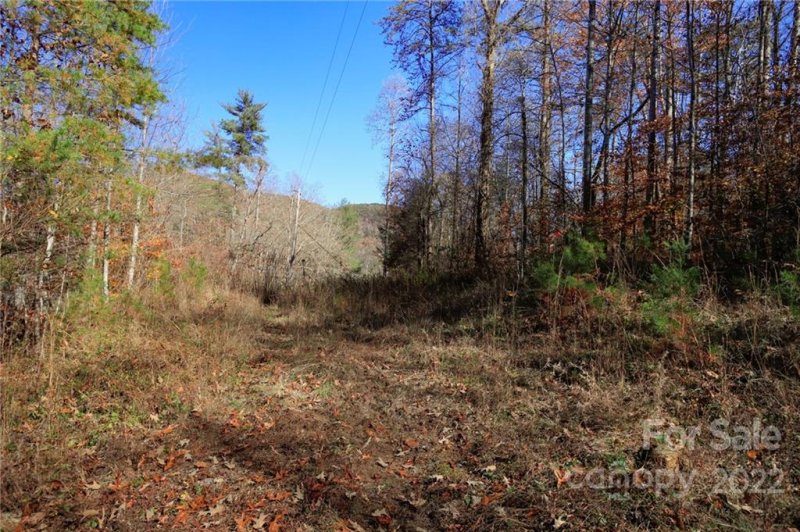 Property image 2 at Lot 74 Buffalo Creek Road, Lake Lure, NC 28746