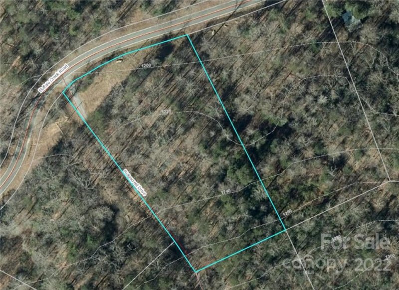 Property image 3 at Lot 74 Buffalo Creek Road, Lake Lure, NC 28746