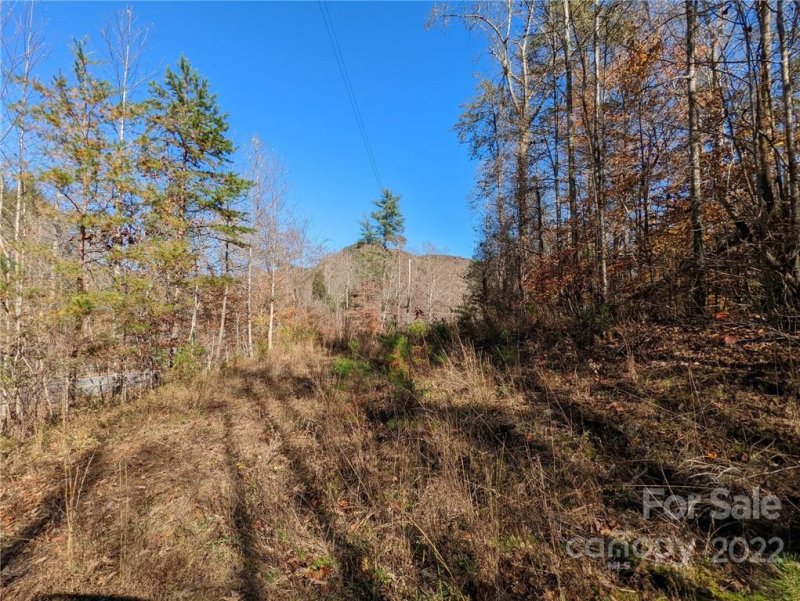 Property image 5 at Lot 74 Buffalo Creek Road, Lake Lure, NC 28746