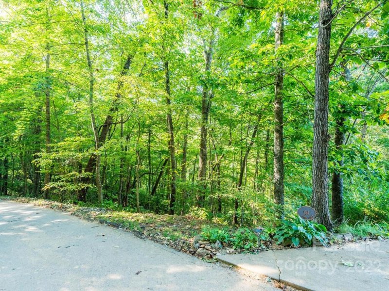 Property image 2 of 0 Alpine Ridge in Springdale Estates, Canton, NC 28716