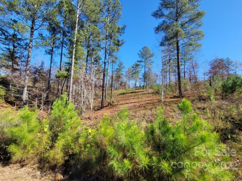 Property image 3 of 2076 Island View Lane in Island Pointe at Lake Vistas, Connelly Springs, NC 28612