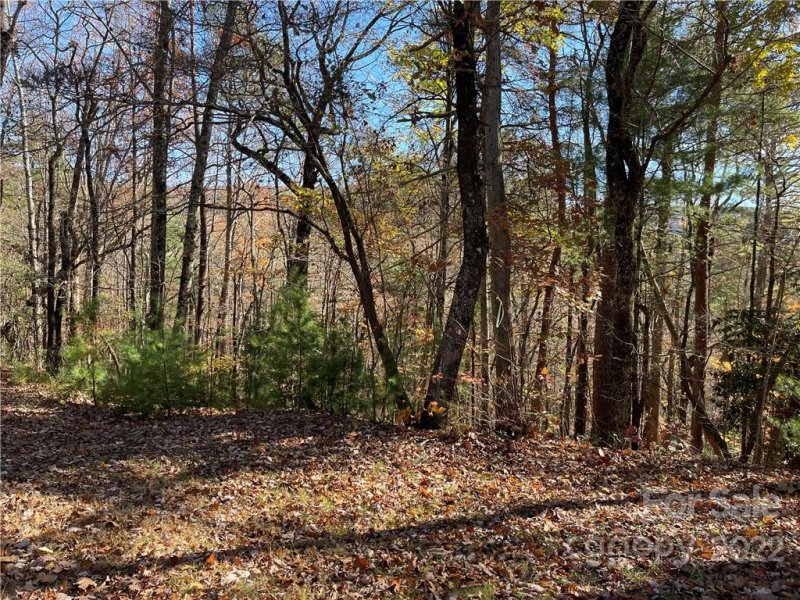 Property image 3 at L 19 Arrowhead Ridge Road, Brevard, NC 28712