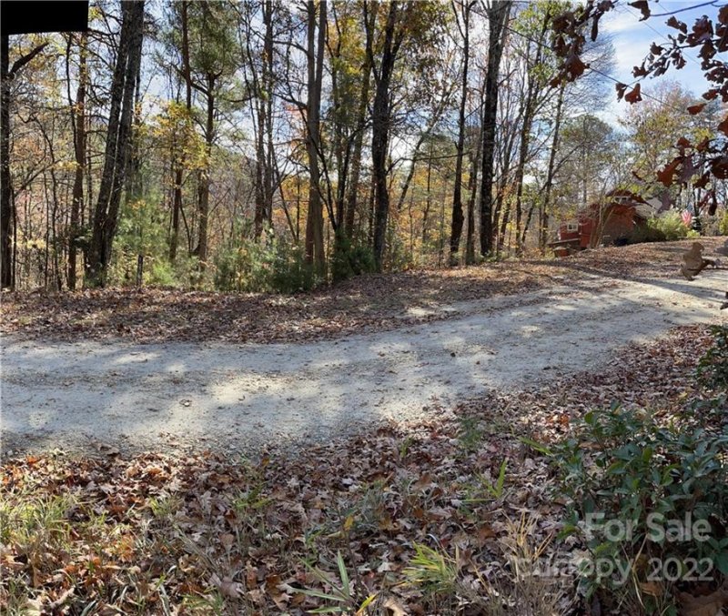 Property image 4 at L 19 Arrowhead Ridge Road, Brevard, NC 28712
