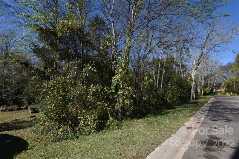 Property image 3 at 208 Emmett Street, Rock Hill, SC 29730