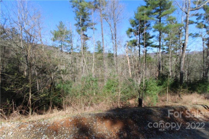 Property image 4 at V L Heartwood Forest Drive, Collettsville, NC 28611