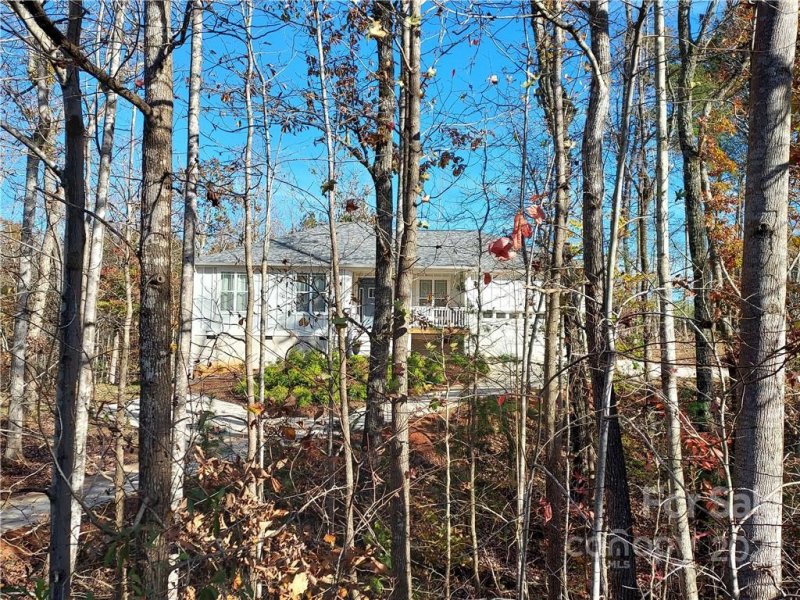 Property image 3 at 221 Dublin Lane, Columbus, NC 28722