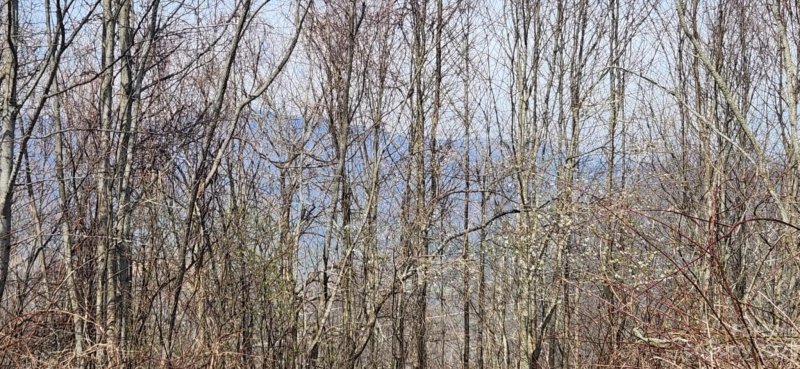 Property image 4 at 00 Hyacinth Drive, Clyde, NC 28721