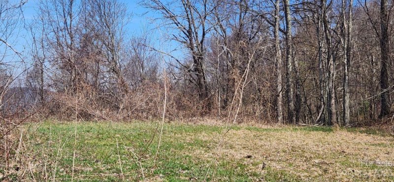 Property image 5 at 00 Hyacinth Drive, Clyde, NC 28721