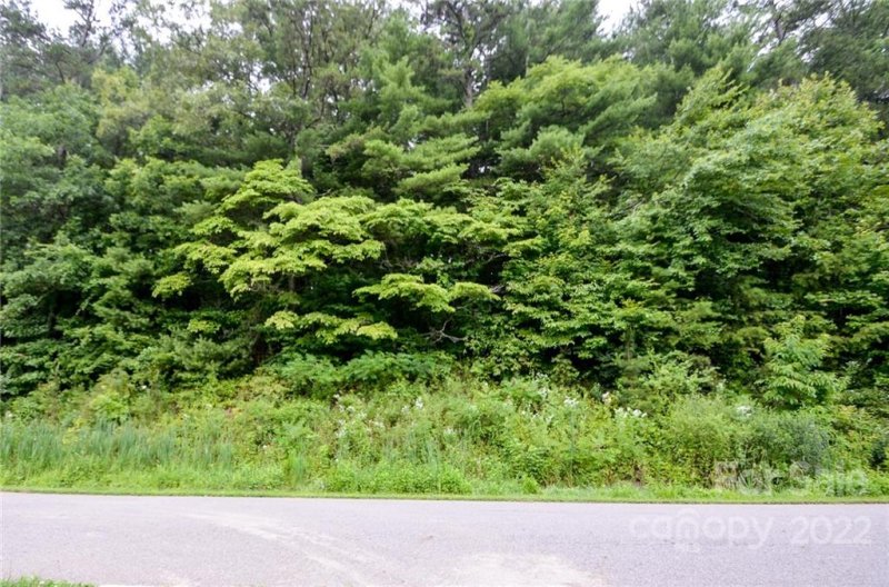 Property image 2 at 98 Israel Road, Leicester, NC 28748