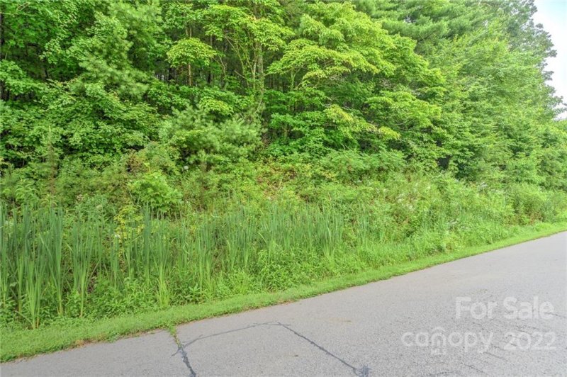 Property image 3 at 98 Israel Road, Leicester, NC 28748