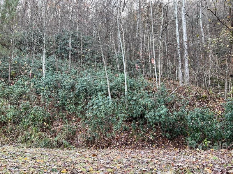 Property image 3 at 979 Rocky Top Road, Old Fort, NC 28762