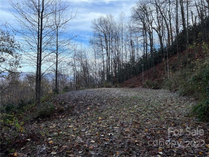 Property image 4 at 979 Rocky Top Road, Old Fort, NC 28762