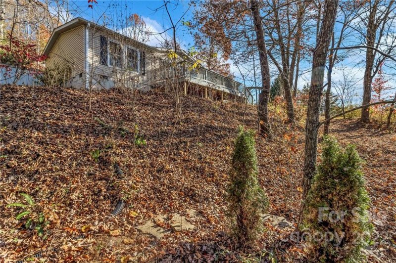 Property image 3 at 55 Farmstead Road, Leicester, NC 28748