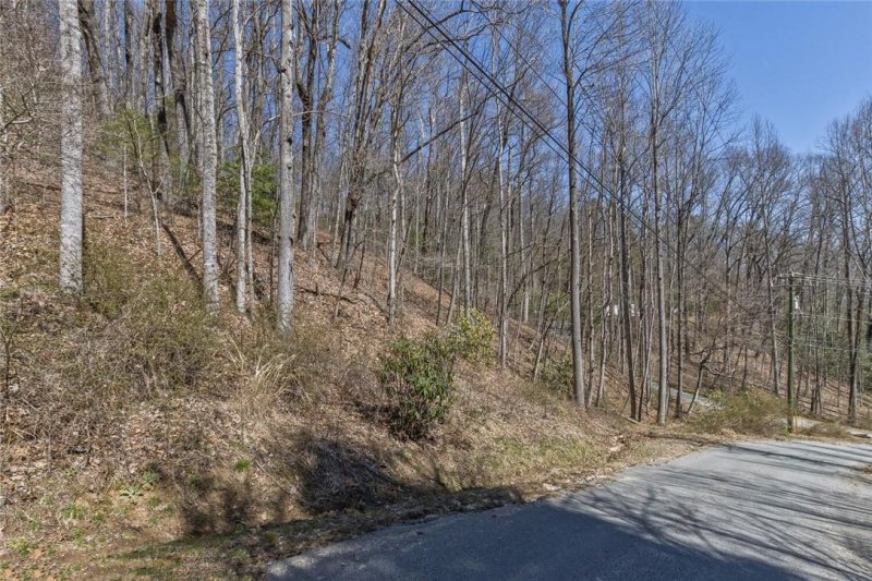 Property image 4 at 140 Bear Rock Road, Hendersonville, NC 28739