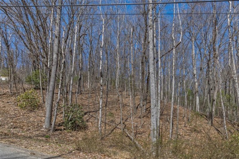 Property image 5 at 140 Bear Rock Road, Hendersonville, NC 28739