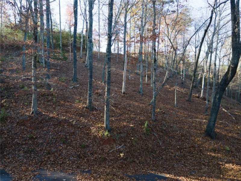 Property image 3 at Tbd Willow Top Lane, Lake Lure, NC 28746