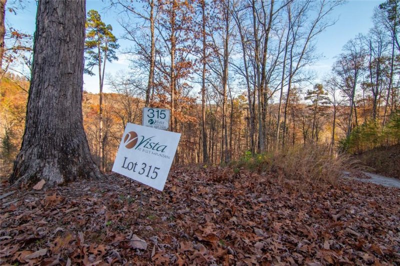 Property image 4 at Tbd Willow Top Lane, Lake Lure, NC 28746