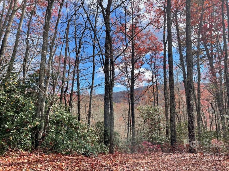 Lot 26 Ridge Trail Drive