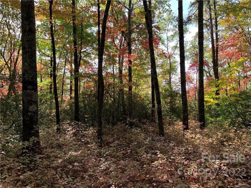 Property image 2 at Lot 26 Ridge Trail Drive, Balsam Grove, NC 28708