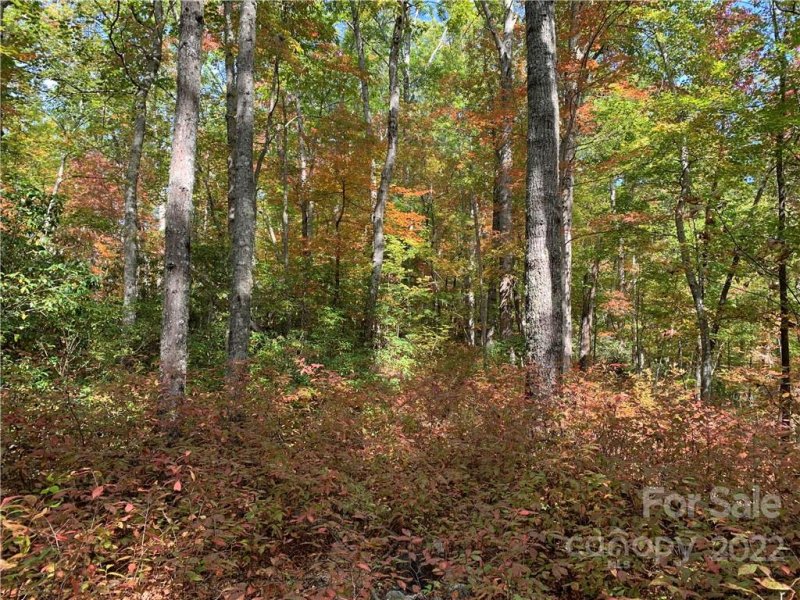 Property image 5 at Lot 26 Ridge Trail Drive, Balsam Grove, NC 28708