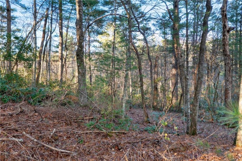 Property image 3 at Lot 8 Alexander Crest Drive, Fairview, NC 28730